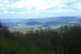 P1300036