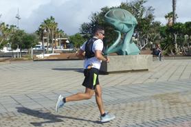 P1310590 P1310590