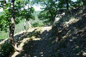 P1370375