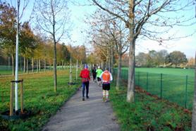 Steinfurt_17